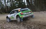 Skoda Fabia R5 2015 года